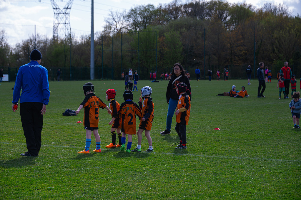 tournoi-de-latlantique-2026-adonis-griffon-67-55181289436-l