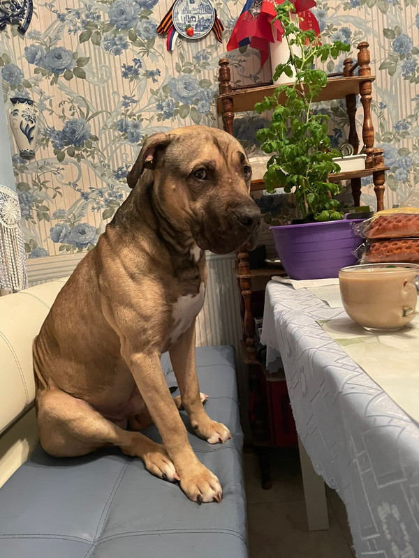 434EEBA6-6440-4230-96A2-D4C2E9BBBF24