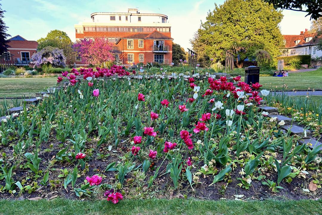 Пёстрая лента. Путешествие по сельским дорогам Англии в мае 2025 г.