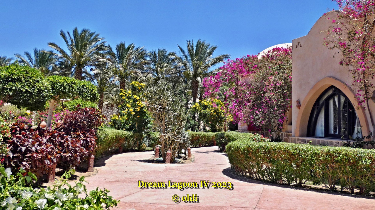 Shams Alam (3)'