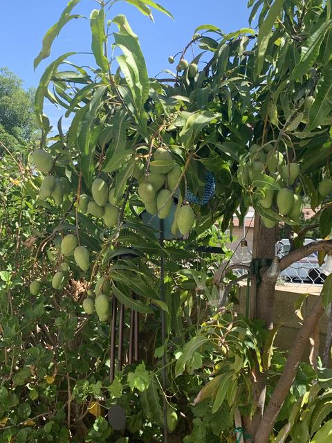 3ED07966-A7EF-4C09-A871-FA81B0CE41F1