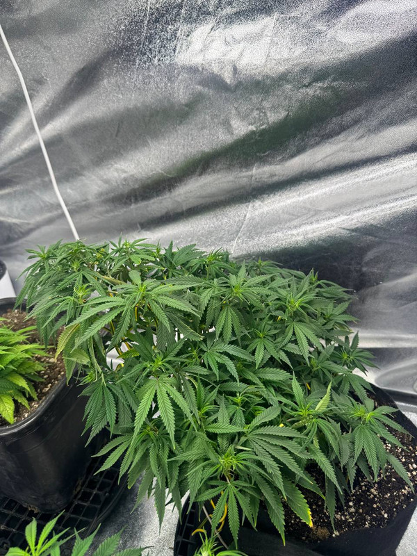 photo 2026 02 12 00 48 23