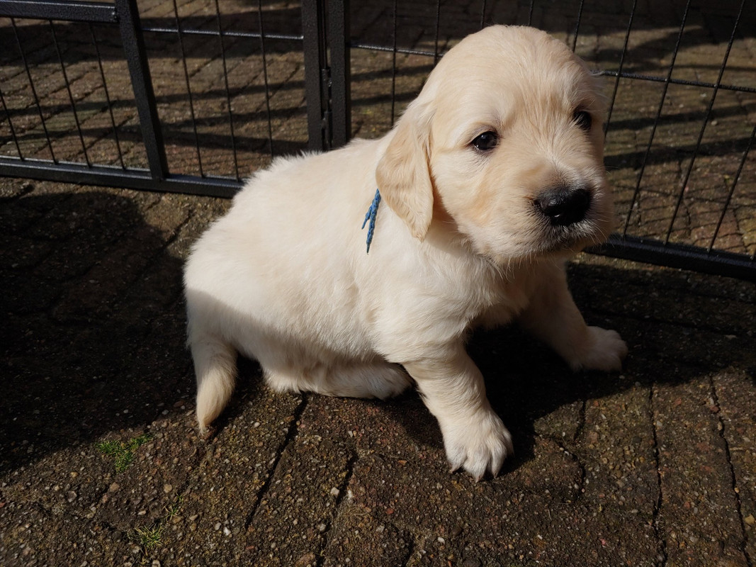 CF2B9926-3B4D-479B-8633-0EBDC05CFD07