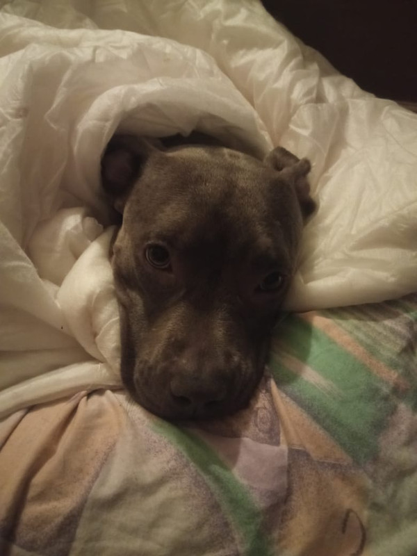 FE7DD68D-2BE6-435F-8962-84928CE276EB