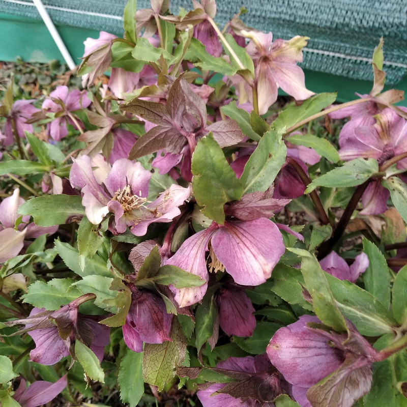 WhatsApp Image 2024-03-10 at 09.59.55 (1)