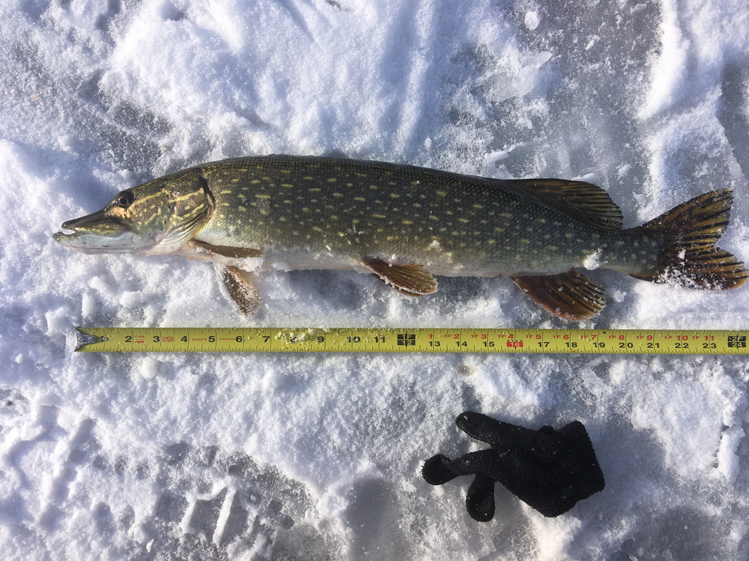 4458C793-79DB-4B19-92DB-EF1D416431F2