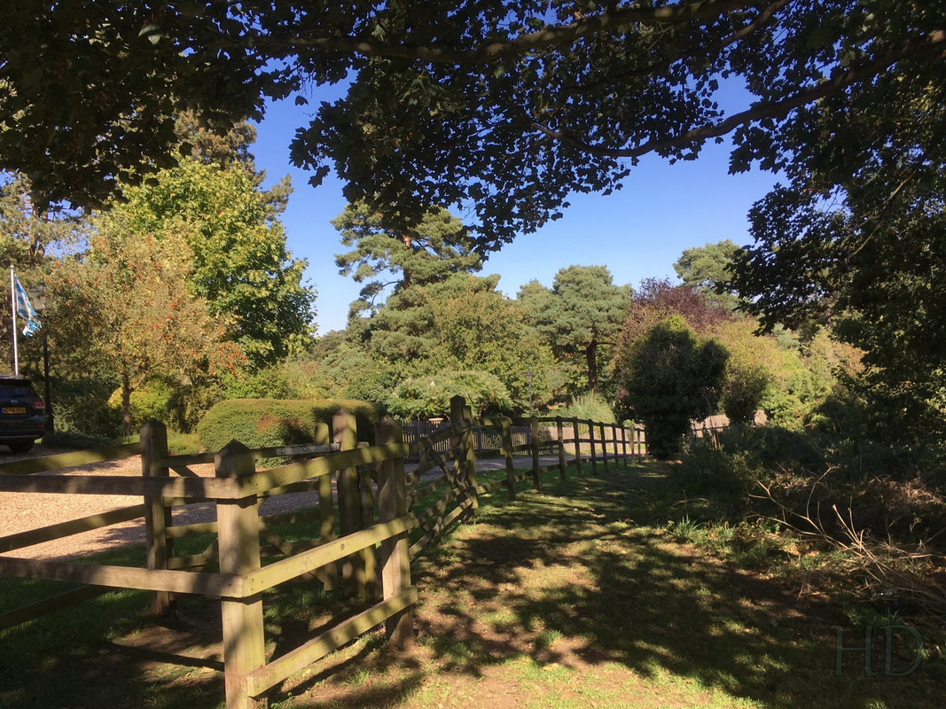 lane-our-area-HD.jpg