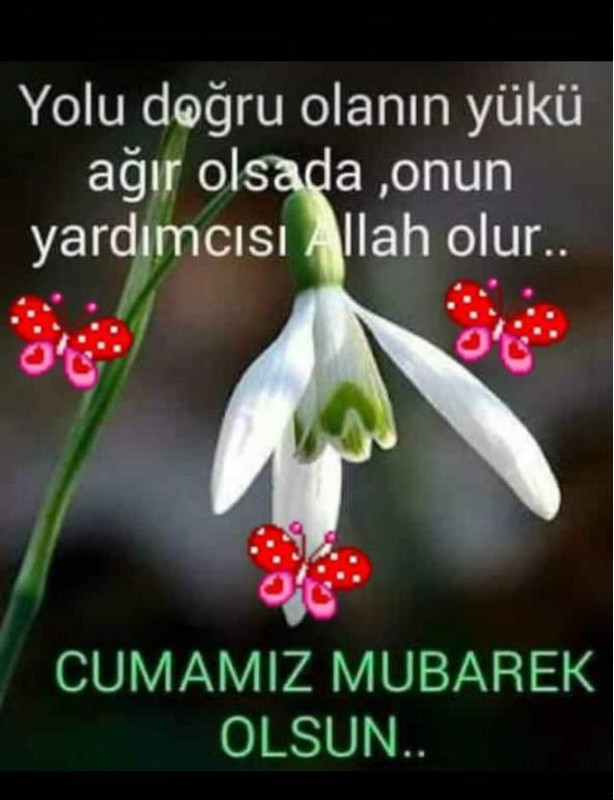 IMG 20260618 WA0005