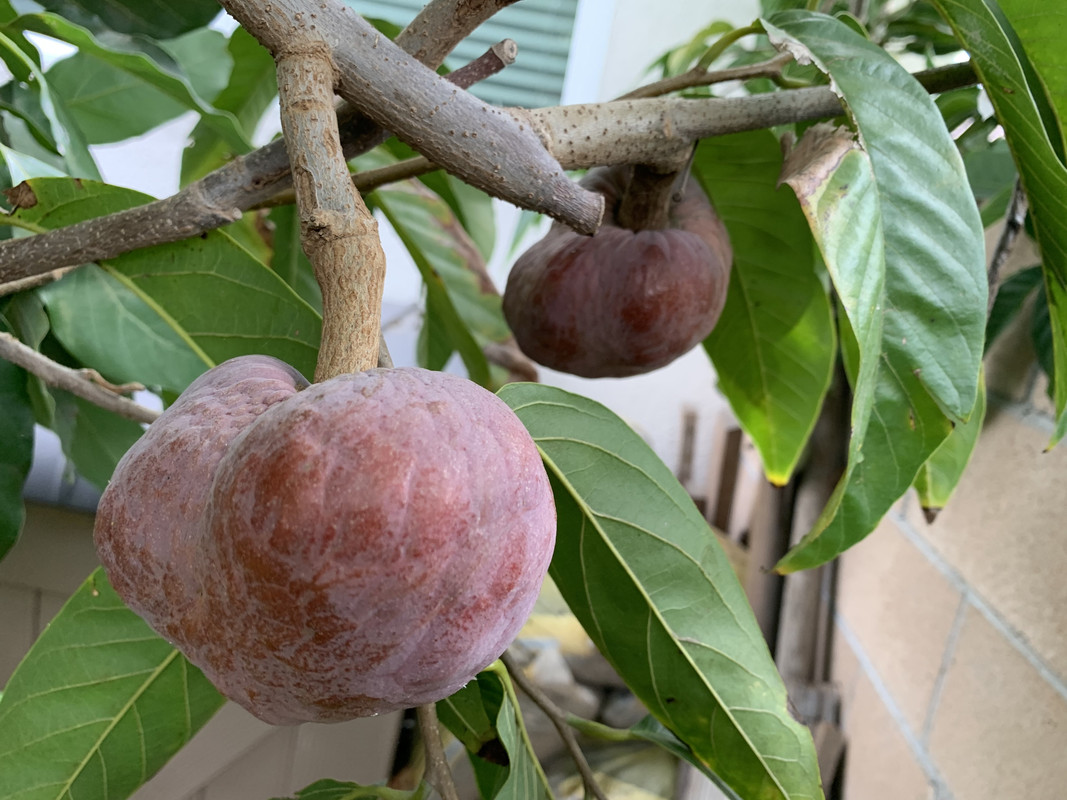 16D72F6F-F35B-441A-A1DA-8C41F35823C5