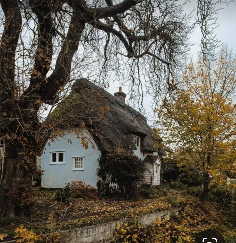 Screenshot_20231128_181229_Pinterest