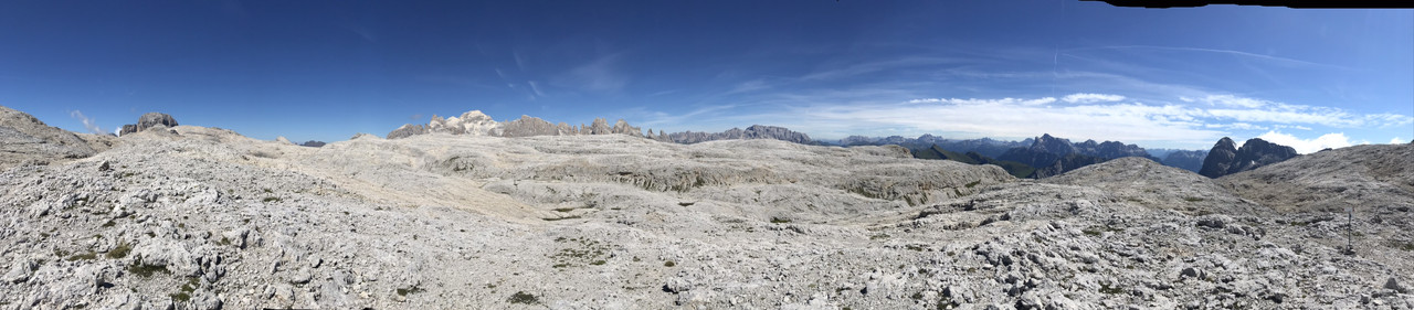 717A3447-D7B1-45BA-B88F-B6BD55F131A4