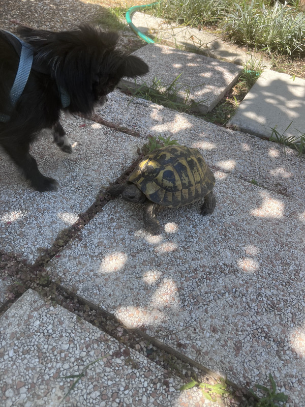 [Image: IMG-4928.jpg]