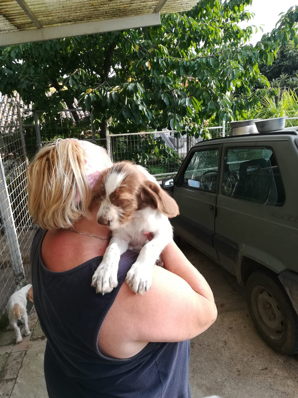 WhatsApp Image 2018-07-03 at 19.41.32 (2)