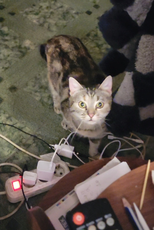 Screenshot_20250203_183636_GalleryА