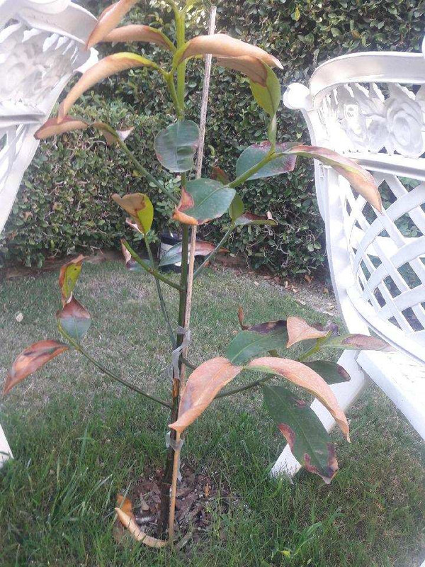 Resized_20180720_173347_4258