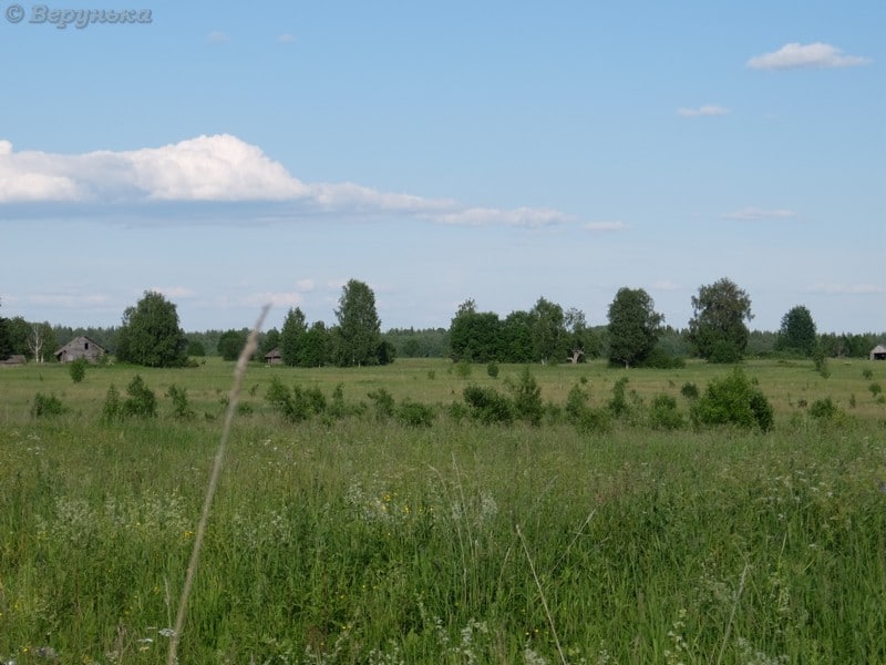 DSCF9048