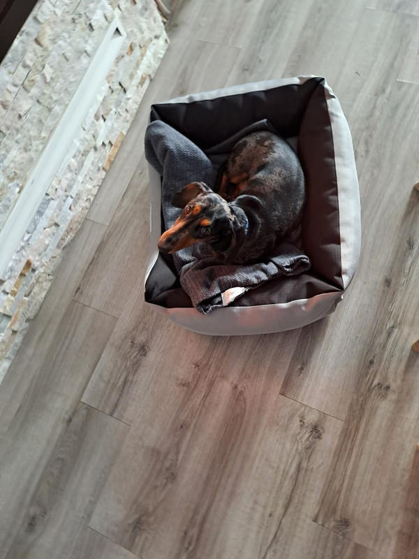 [Image: 20240120-095601.jpg]