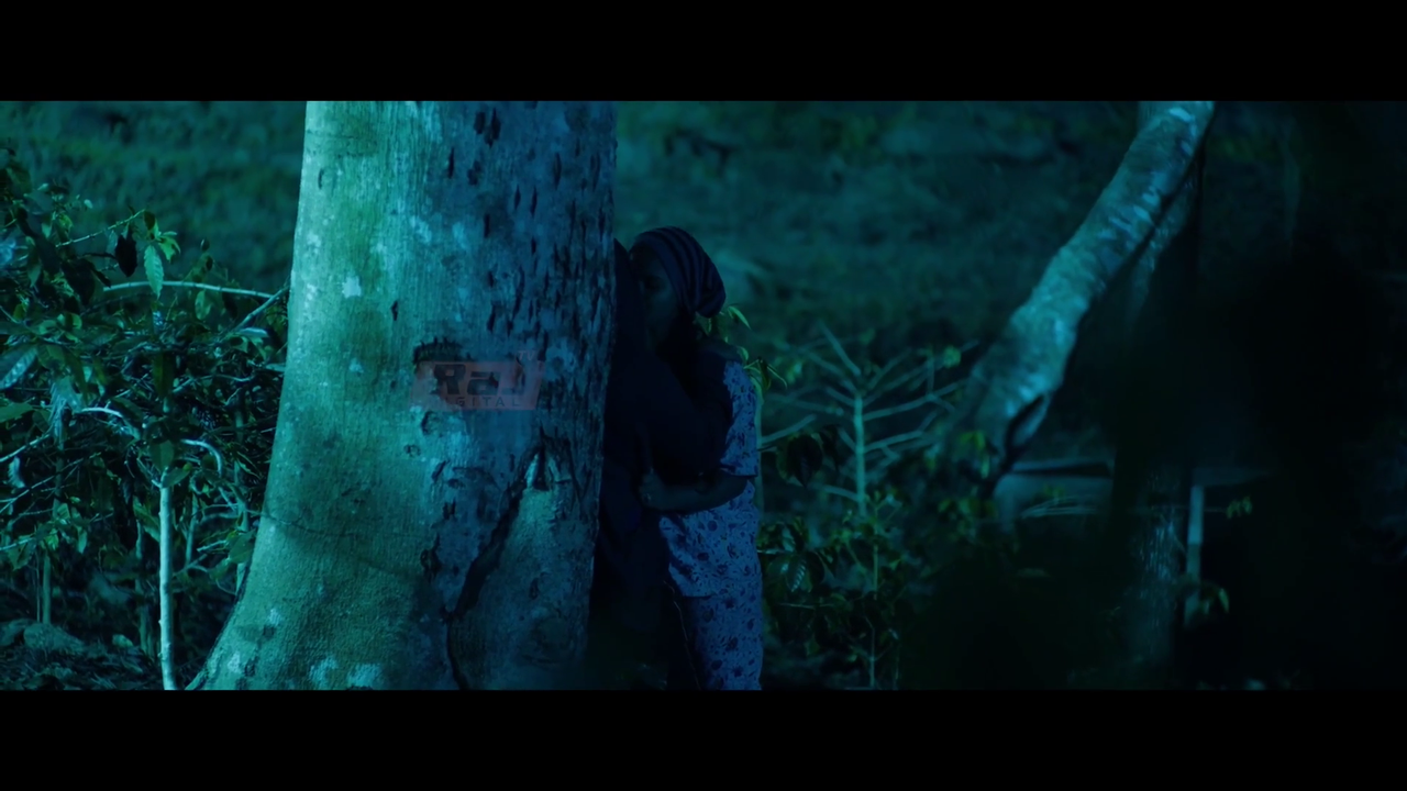 vlcsnap-2023-08-01-11h08m05s056