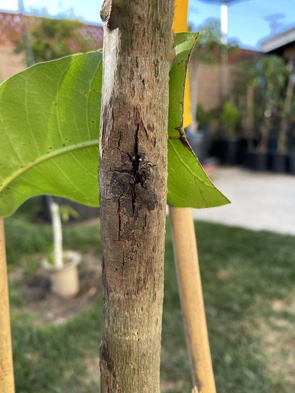 C20802DD-8331-41AB-BF53-7939AFCCAE6E