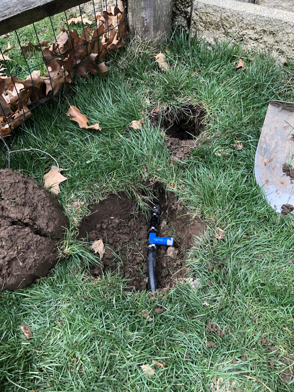 1BECD56F-3516-4F9E-A688-7DBEBE132601