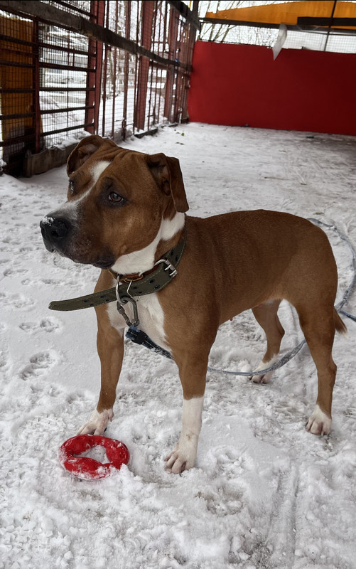 229F9996-C785-473A-A499-EA26F512CCC0