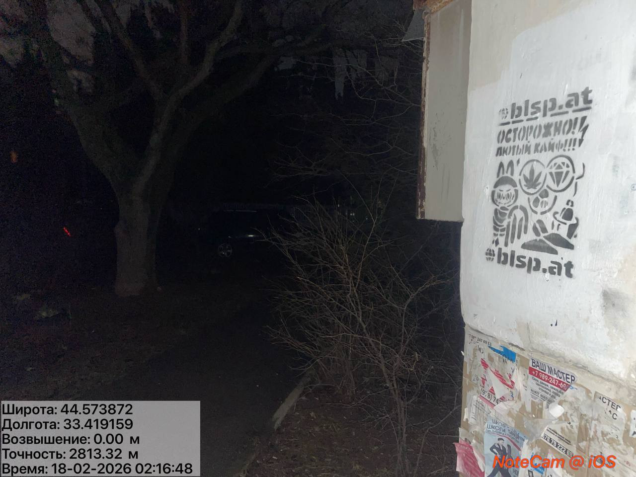 photo 16 2026 02 18 03 55 26