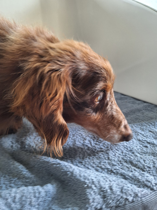 [Image: 20240321-174606.jpg]