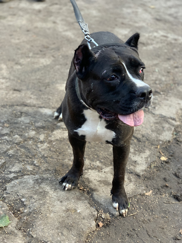 C61A0DA5-1B26-4B13-84BC-2E2F1B249E27