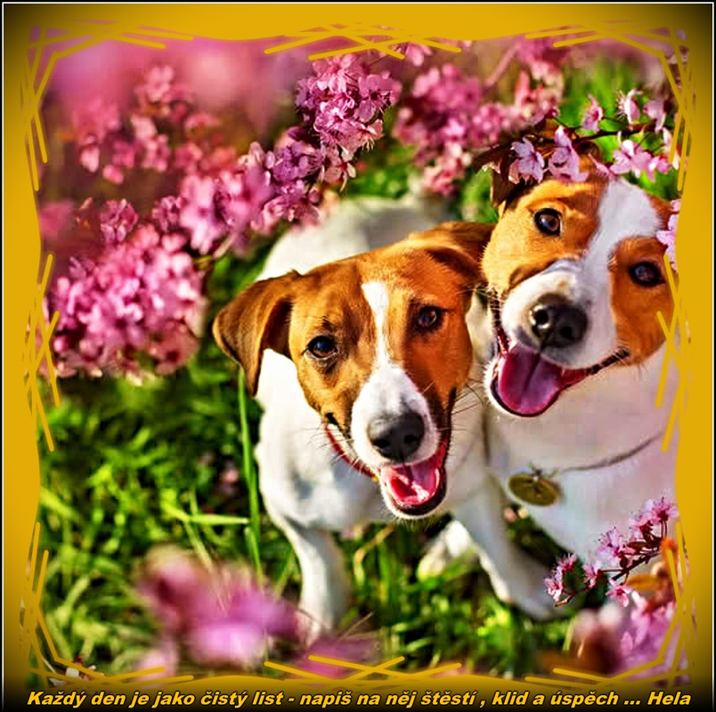 den 9.9. 2025 úúúpr