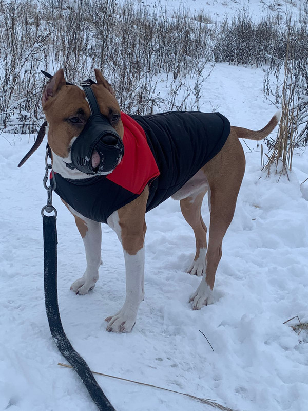 C714AF30-7F50-45FA-BC94-A2CE3F45FF3E