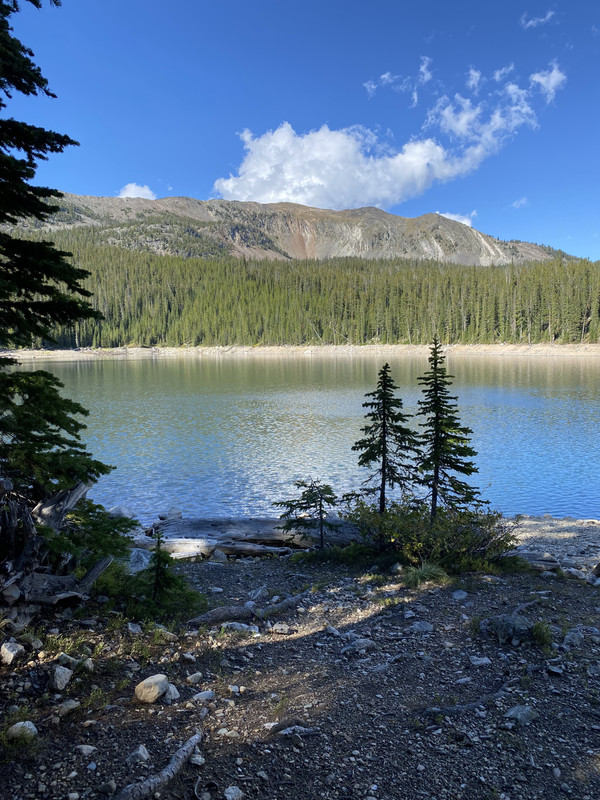 8251A244-B51C-4D40-86F9-CD54182112DA