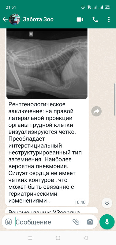 Screenshot_2022-01-14-21-31-12-76