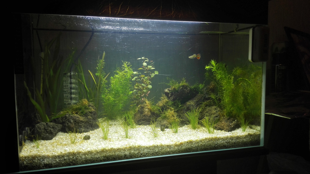 IMG_20161018_214105 (3)