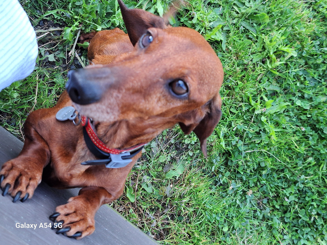 [Image: 20240717-201315.jpg]