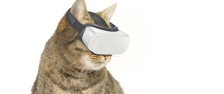 casque-realite-virtuelle-pour-les-chats-750x316.png