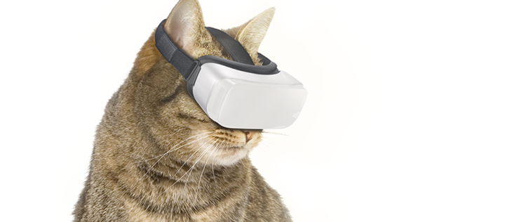 https://i.postimg.cc/nzwN4y0S/casque-realite-virtuelle-pour-les-chats-750x316.png