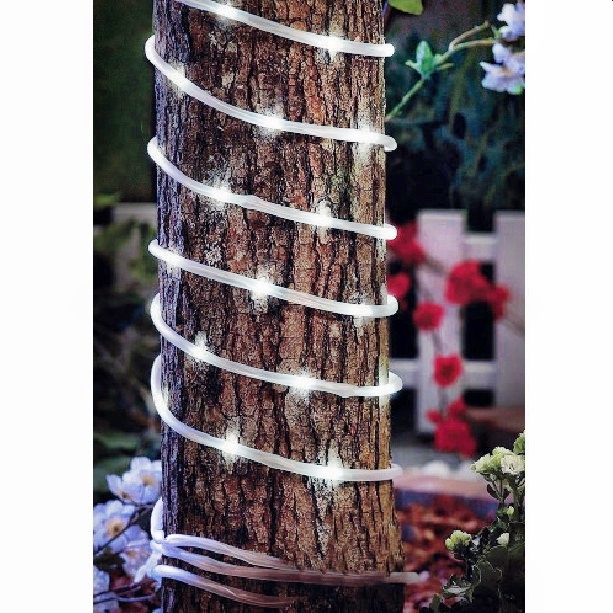 Solar String Light: 80030