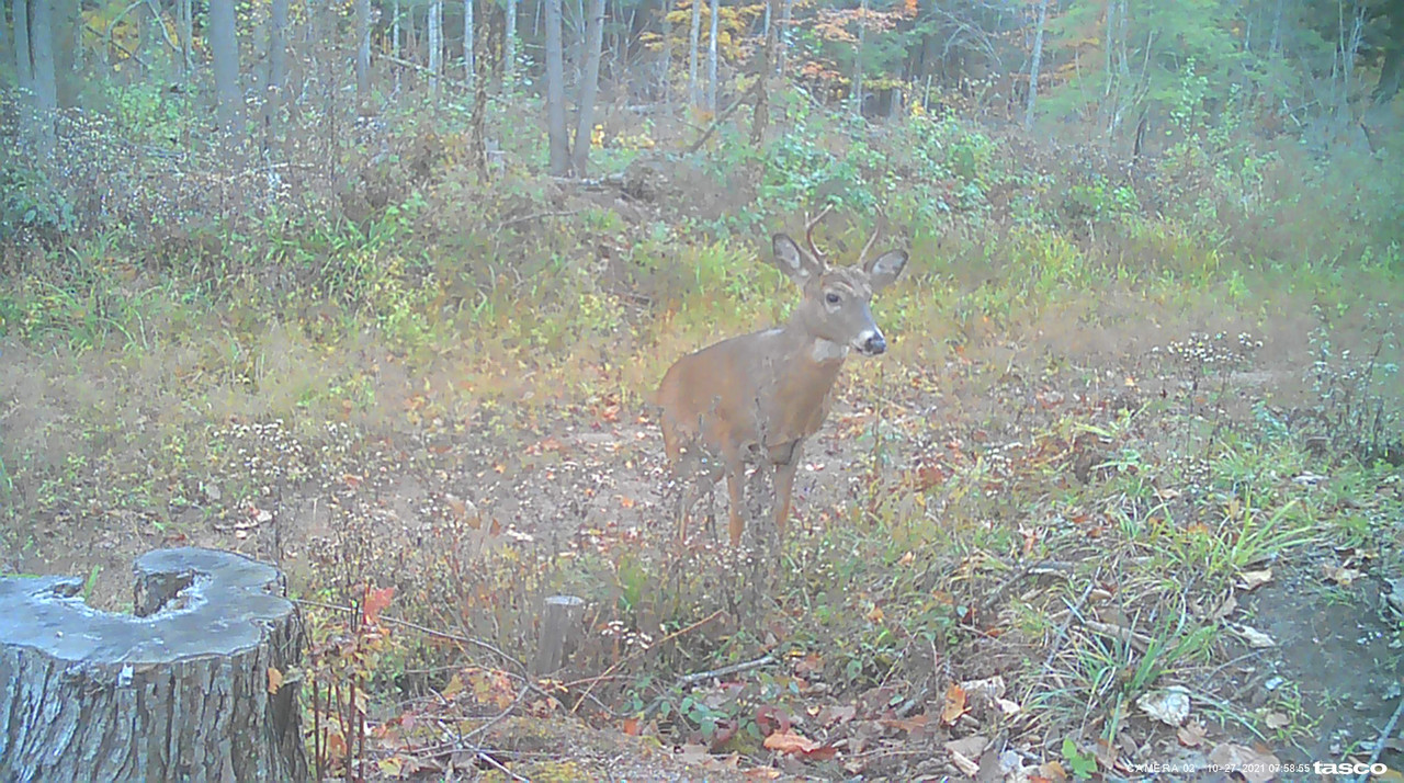 3A5DB3A9-8128-45B0-BFDC-C8A4FE39B338