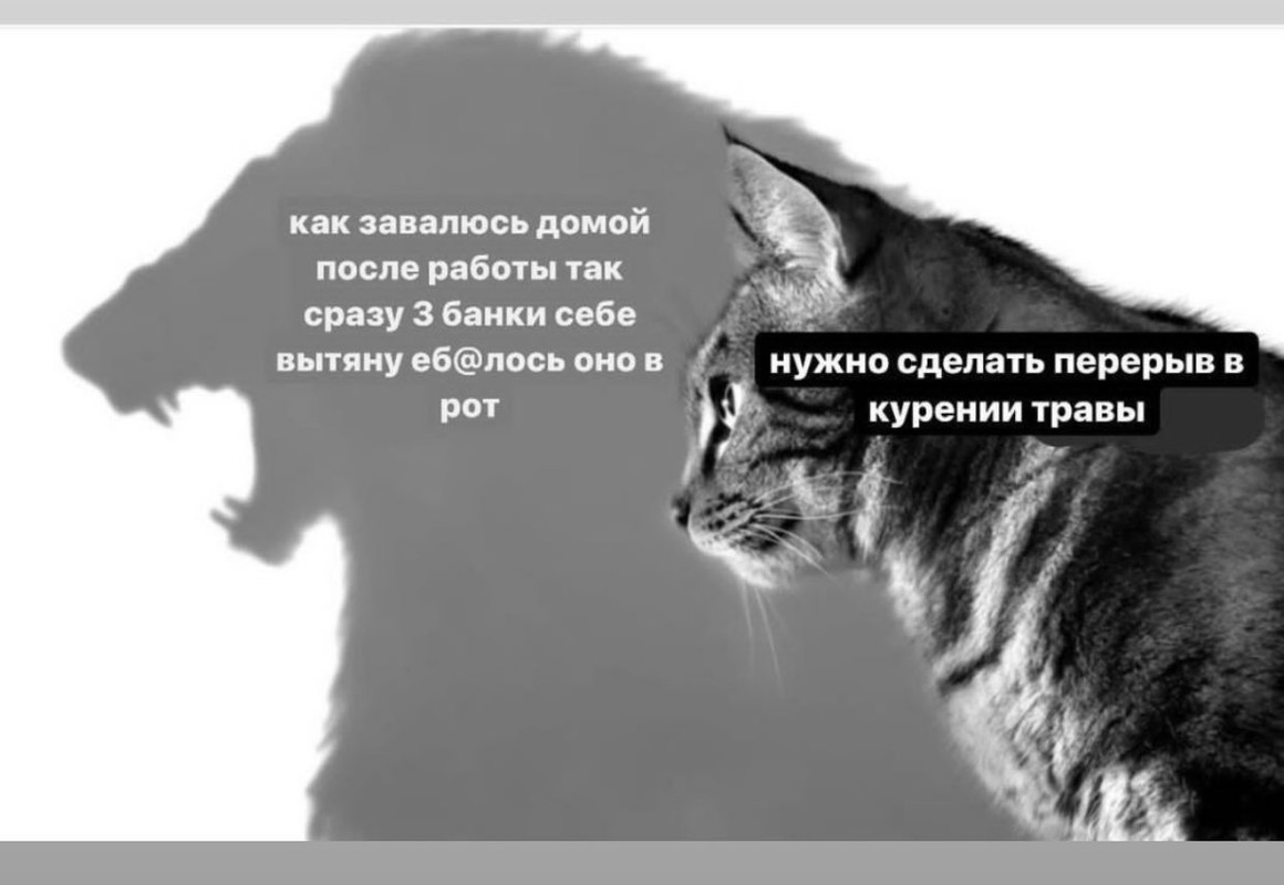 C61948-BA-C37-F-4383-8-DEF-74-B19-FC9348