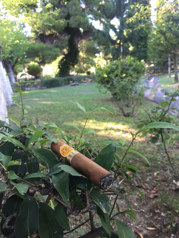 IMG-456a4fe588d79affd72a80fa6c8a537e-V