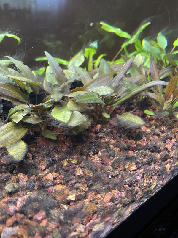 A07DFD5E-DBD5-49A7-B2FE-8AC653D57D87