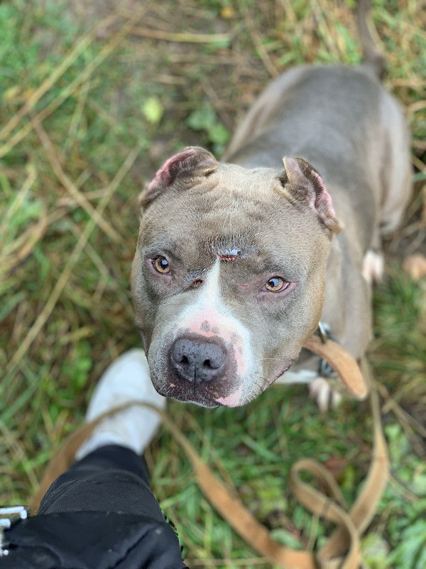 637AA2F6-41B0-4270-B4BC-597CD2EE3D6C