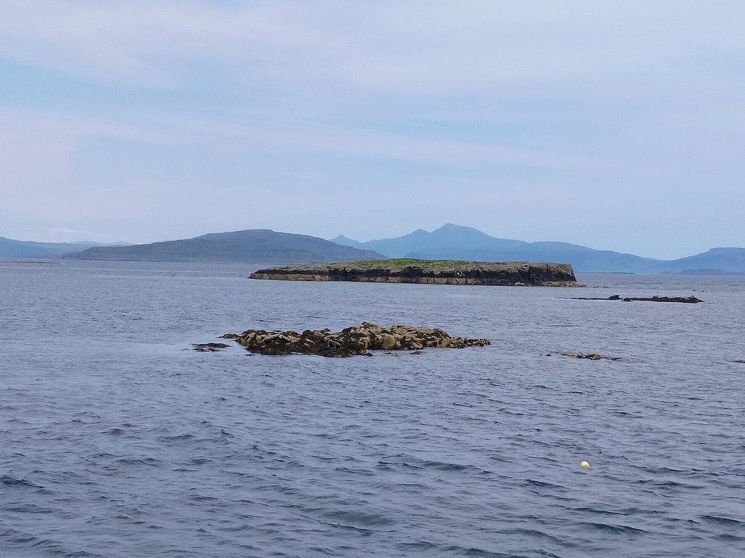 Segundo viaje a Escocia - Blogs de Reino Unido - Día 3 Día 3 Fionnphot - Staffa – Lunga – Tobermory (20)