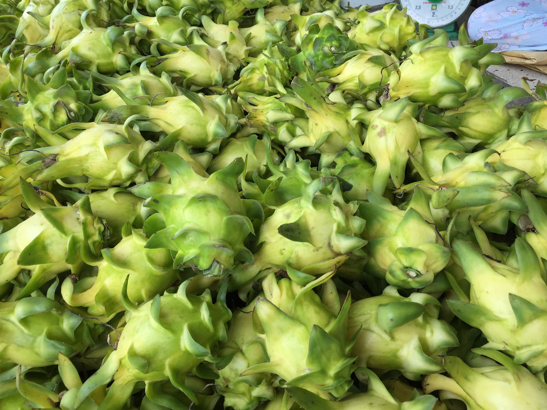 yellow-dragon-fruit.jpg