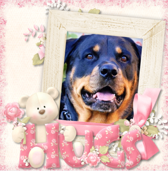 ZZZZZZZZZ Voyou Sally hugs