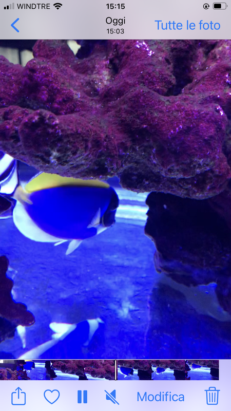 39C40F92-C1B9-4427-B3BF-15B8F78B6A20