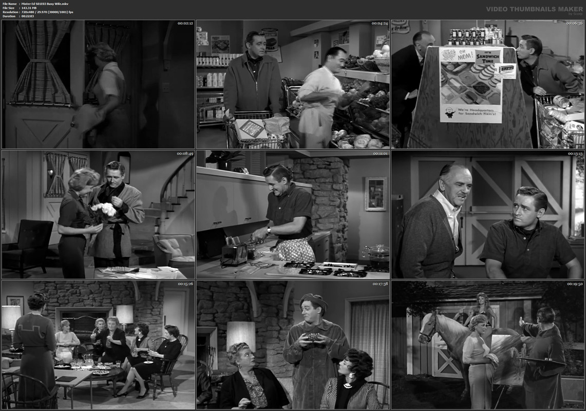 Mister Ed S01E03 Busy Wife.mkv
