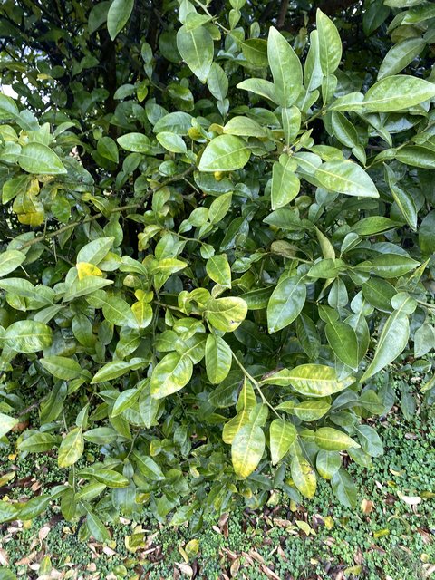 DA80577A-D705-4786-95C6-59701B91AAA1