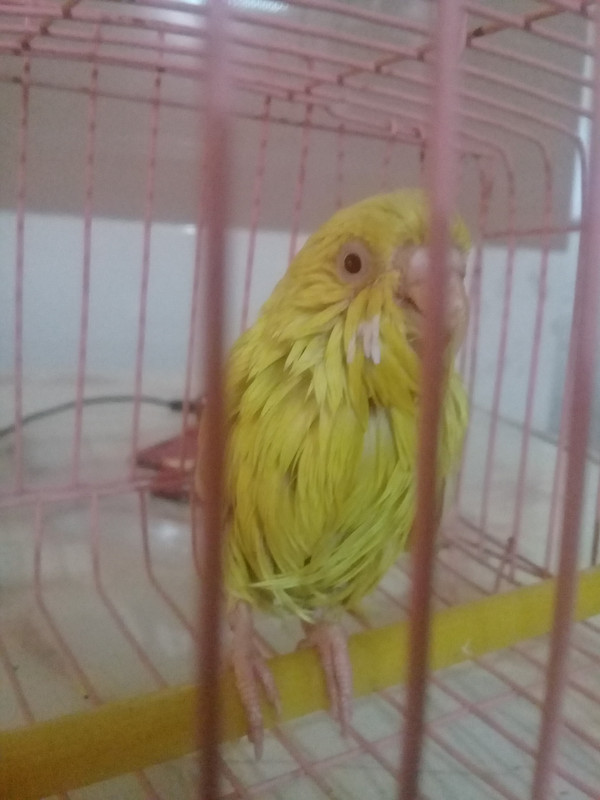 ٢?١٨?٦٢٨_١٢٢٨٢٢