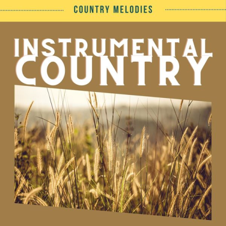 Country Melodies - Instrumental Country Vol 4 (2022)